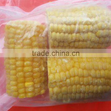 Frozen type Sweet Corn Cobs