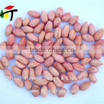 Sweet Delicious Raw Redskin Peanuts for Roasting photo-6