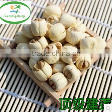 Nelumbo nucifera Gaertn Lotus nut Lotus seeds