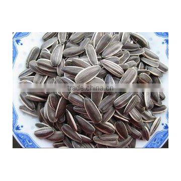 2016 chinese market price sunflower seeds in shell