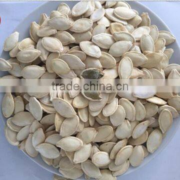 inner mogolia high quality of shine skin pumpkin seed factory for buyers