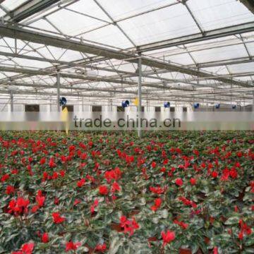 JINLONG Big Air Flow and Low Noise Air Circulation Fan for Poultry Farming photo-5