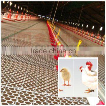 High Temperature Resistant Poultry Shed Flooring System photo-3
