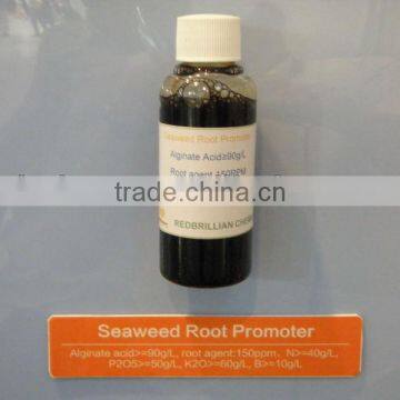 RBchem seaweed natural plant growth promoter