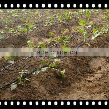 2016 High Quality Farm Drip Irrigation Pipe Hose