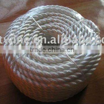 pp cord in high quality and cheap price