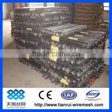 Galvanized/PVC Coated Hexagonal Wire Netting/chicken Wire Mesh photo-4