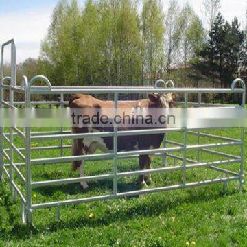 China Manufacturer Cheap Galvanized Goat Fence photo-5