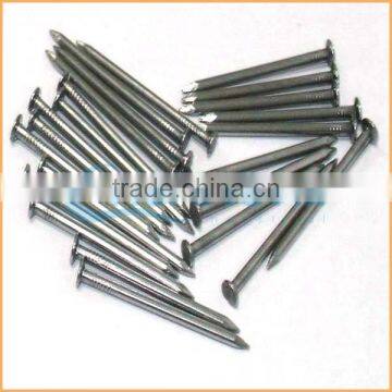 Manufacture High Quality Low Price Wooden Nails Iron Nails photo-6