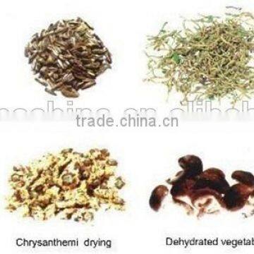 Industrial Vegetable and Fruit Carrot Dryer photo-3