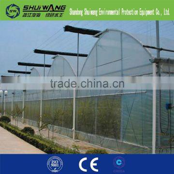 Commercial Glass Greenhouse Supply China Shuiwang photo-2