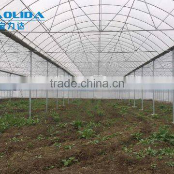 Polytunnel Garden Greenhouse Pollytunnel photo-3