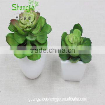 SJLJ013384 Artificial Plant / Fake Plastic Succulent Plant for Office / Restaurant Decoration photo-4