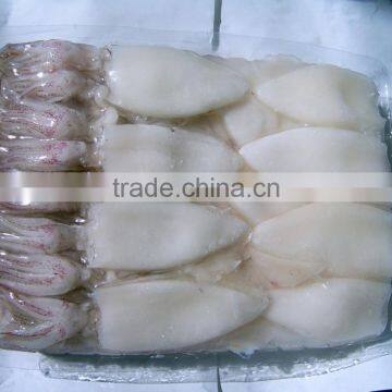 Frozen Illex Argentinus Squid Tube U5/U7/U10 photo-4