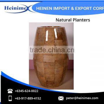 High Quality Fiberglass and Dried Banana Leaves Made Planters for Wholesale photo-3