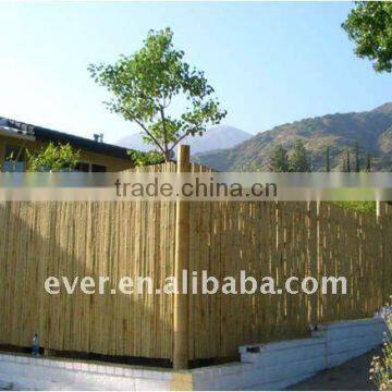 BAMBOO FENCE