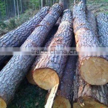 Pine Logs