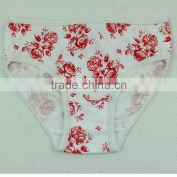 Girls Underwear Panty Models Sexy Girls Underwear Girls In Underwear photo-3