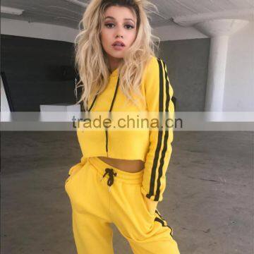 Latest Fashion Clothing Streetwear Sportswear Plain Hoodies Long Pants 2 Piece Set Tracksuit photo-3