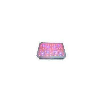 240W Red And Blue Flowering LED Grow Lights Ra 80 For Greenhouse