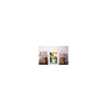 Sell Multifunctional Digital Photo Frame