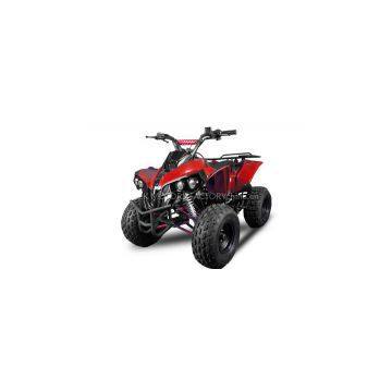 NEW BIG TIRE 2017 CHILD ATV125CC