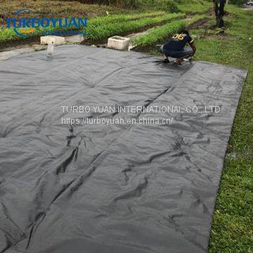 Black Plastic PP Ground Cover Mesh Mat for Greenhouse photo-2