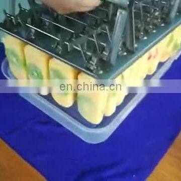 Multi Flavor Swirl Ice Cream Machine | Ice Cream Stick Bar Machine