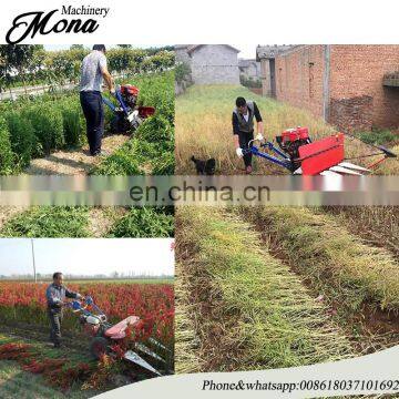 High-efficiency Fresh Red Pepper Chill Cutter photo-2