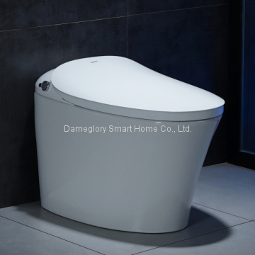 Smart Toilet K19036 Intelligent Toilet Foot Induction Flushing Convenient for Men