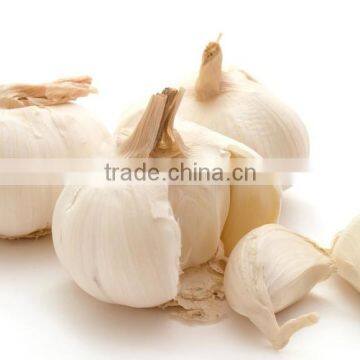 new scent oil fruit serious aroma organic garlic essential oil