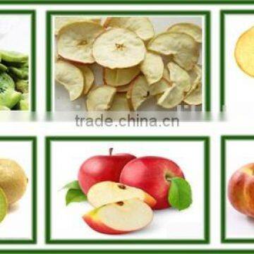 Automatic Fruit and Vegetable Chips Crispy Vacuum Frying Machine Quality Choice