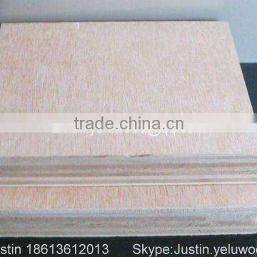 poplar plywood