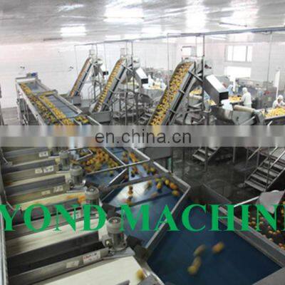 Automatic Canned Sweet Strawberry Processing Plant / Strawberry in Syrup Production Line photo-5