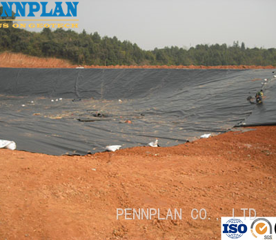 0.5mm 0.75mm 1mm Aquaculture Pond Liner Fish Shrimp Pond Liner HDPE Geomembranes photo-5