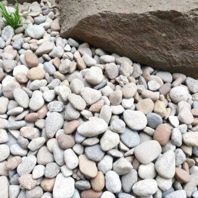 Sandstone, Gravel & Pebble photo-2