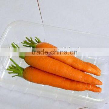 Safety Food Grade U.S Market Popular With Absorbent Pad Plastic Frozen Food Tray Packaging photo-6