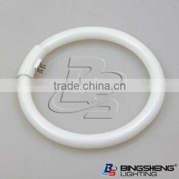 Circle Fluorescent T8 110V/240V G10q with CE ROHS 8000hours