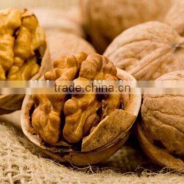 Favorable price of walnut without shell