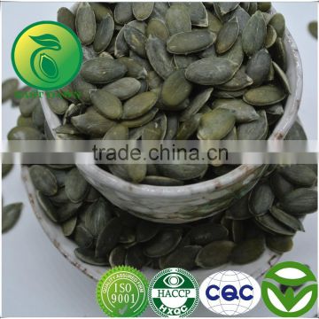 Pumpkin Seeds Kernels GWS Oil For Sale