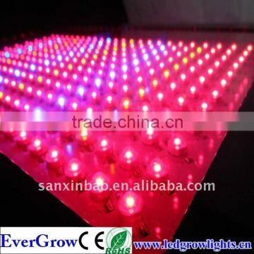 300X3W Hydroponics Greenhouse Agriculture Commercial Led Grow Light EG600