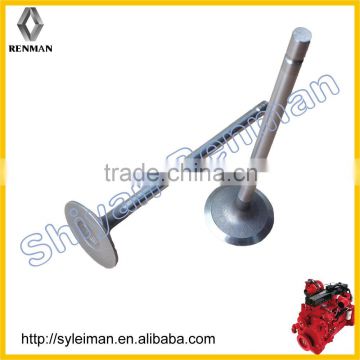 intake valve 10BF11-07011/07012