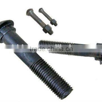 Black Carriage Bolts