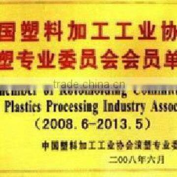 the Meber of Rtomolding Committee in China plastic