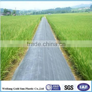 Best Quality Weed Mat Ground Cover , HDPE / PE / PP Weed Control Mat , Plastic Ground Cover for Gardening