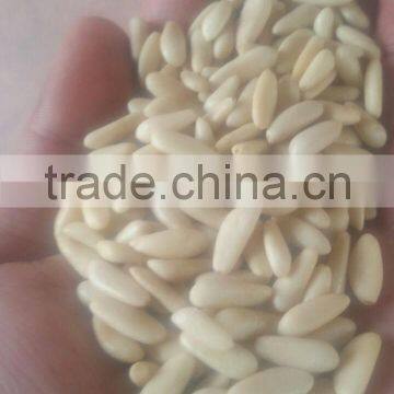 Best Natural Pine Nuts best cleaned Grade AAA high Quality best price