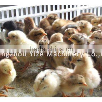 Laying Hens Stackable Plastic Chicken Coop for Hens Prices photo-6