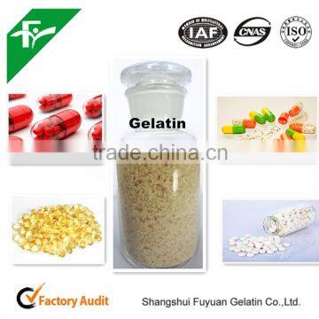 HALAL/KOSHER high bloom gelatin,pharmaceutical gelatin/medical gelatin China plant