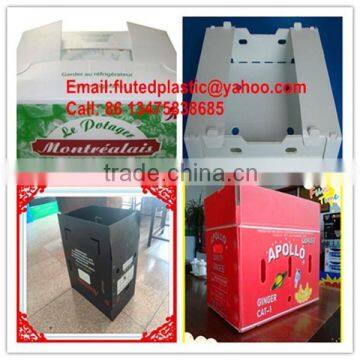 PP Corrugated Plastic Package Boxes