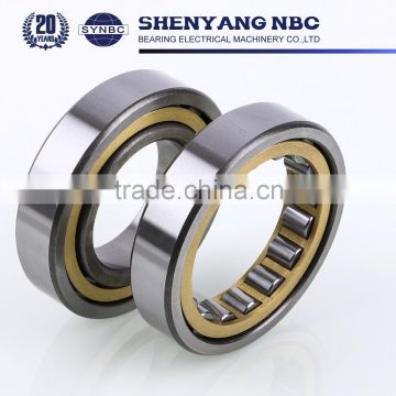 Germany Standard Cylindrical Roller Bearing with Competitive Price Bearing Size